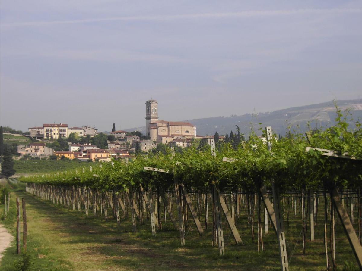 Agriturismo El Crear San Pietro in Cariano Exteriör bild